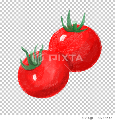 Small round tomato watercolor style 90748632