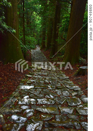 和歌山県　熊野古道 90749860