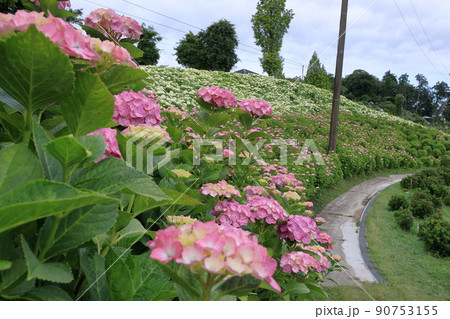 恋のWAVEロード 恋のWAVEロード 90753155