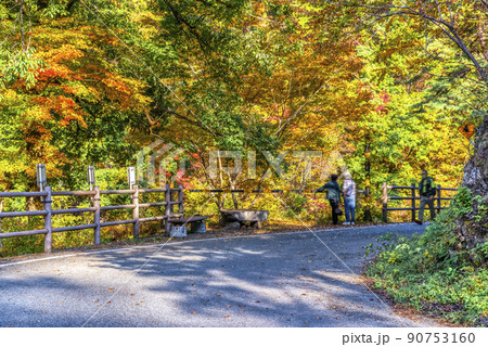 山梨県 紅葉の御嶽昇仙峡 山梨県 紅葉の御嶽昇仙峡 90753160
