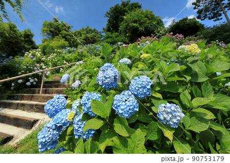 青テマリと階段 90753179