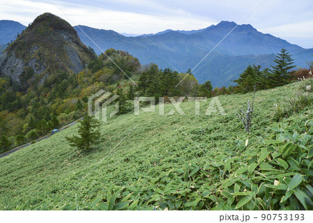 瓶ヶ森近くの林道から子持権現山と遠くに石鎚山 90753193