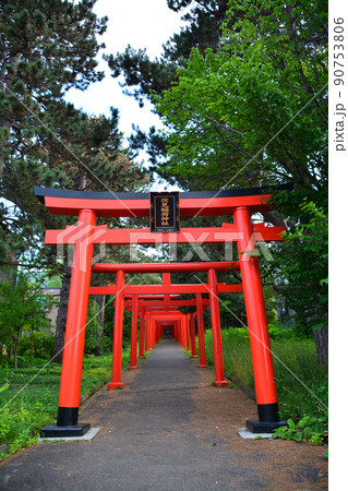 神々しい札幌伏見稲荷神社 90753806