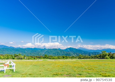 （山梨県）清里高原・清泉寮　牧場　初夏 90754530