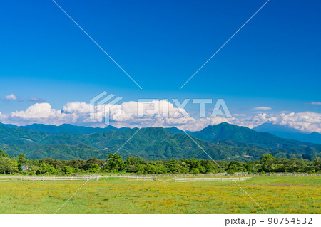 (山梨県)清里高原・清泉寮 牧場 初夏 (山梨県)清里高原・清泉寮 牧場 初夏 90754532
