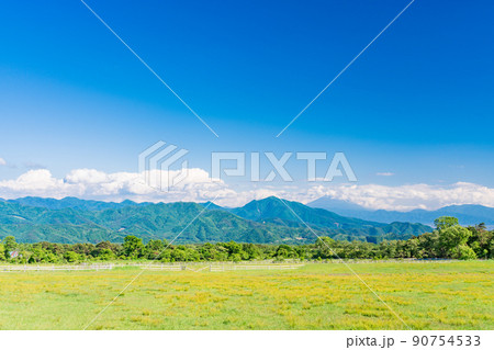 (山梨県)清里高原・清泉寮 牧場 初夏 (山梨県)清里高原・清泉寮 牧場 初夏 90754533