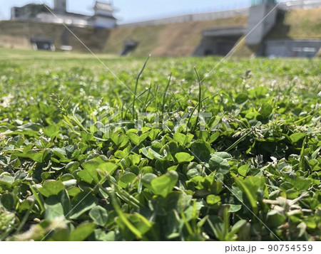 春の日差しと草原 春の日差しと草原 90754559