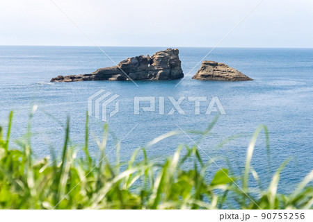 西伊豆・雲見海岸の牛着岩（うしつきいわ） 90755256