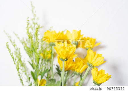 黄色のお花の壁紙 黄色のお花の壁紙 90755352