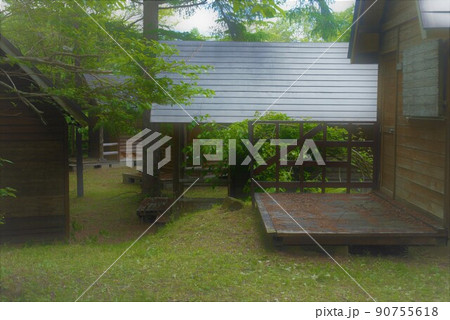 森林の新緑 90755618