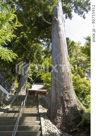 修善寺温泉 日枝神社 修善寺温泉 日枝神社 90755912