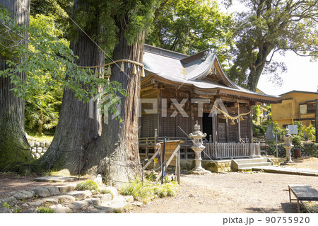 修善寺温泉　日枝神社　拝殿と夫婦杉 90755920