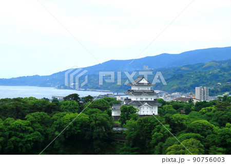 小田原駅方面から見た小田原城 小田原駅方面から見た小田原城 90756003