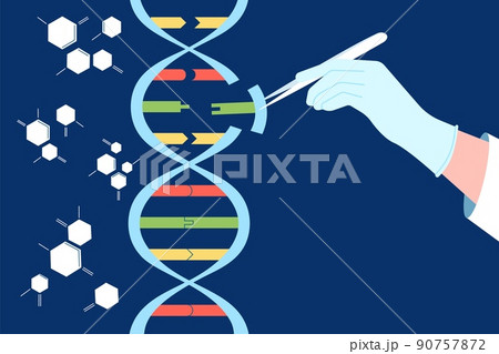 Dna engineering. Crispr cas9, gene editing and manipulating. Genetic modification, biochemistry and medicine. Human genome experiments recent vector concept 90757872