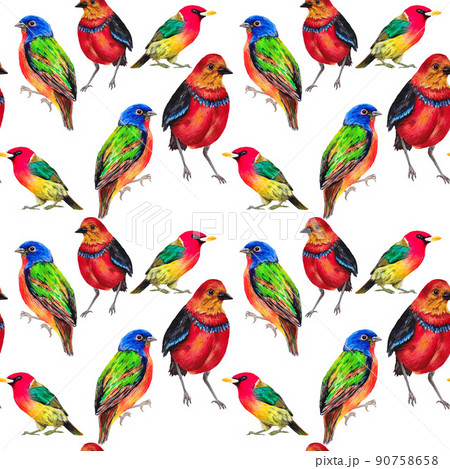 seamless pattern with hand draw wild birds 90758658