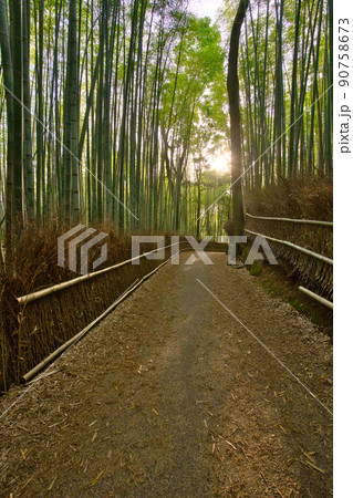 嵐山竹林の小径 90758673
