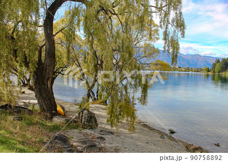 【クイーンズタウン】ワカティプ湖 晴れ 【クイーンズタウン】ワカティプ湖 晴れ 90758892