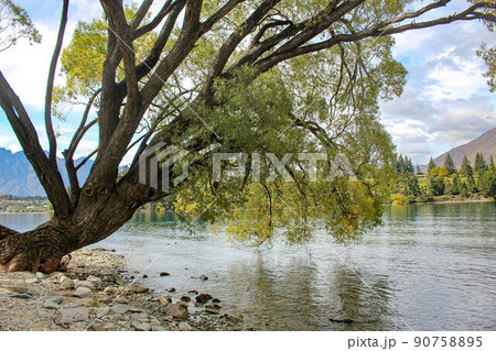 【クイーンズタウン】ワカティプ湖　晴れ 90758895