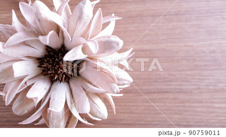 大きな花のドライフラワー 余白スペース 木製のデスク 大きな花のドライフラワー 余白スペース 木製のデスク 90759011