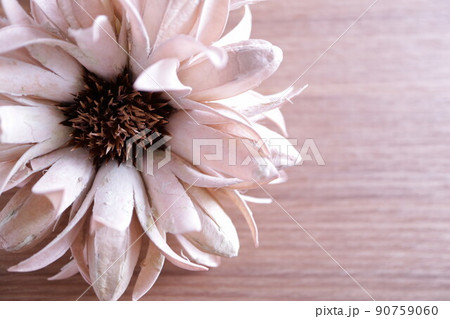 大きな花のドライフラワー　背景木目 90759060
