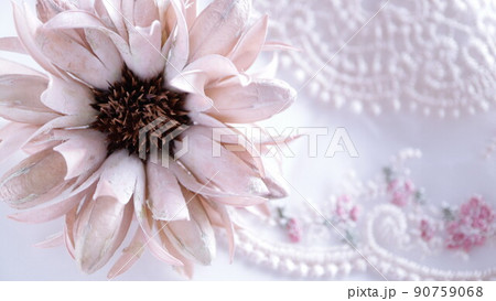 可愛いオーガニック素材 白い花柄レースを背景にしたドライフラワー 一輪のドライフラワー 無人 明るい 可愛いオーガニック素材 白い花柄レースを背景にしたドライフラワー 一輪のドライフラワー 無人 明るい 90759068