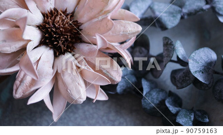 大きな花のドライフラワー 観葉植物 緑の小さな葉っぱ 乾燥した葉っぱ 大きな花のドライフラワー 観葉植物 緑の小さな葉っぱ 乾燥した葉っぱ 90759163