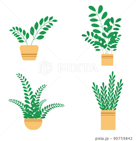 Set house plants and flowers in ceramic pots. Set house plants and flowers in ceramic pots. 90759842
