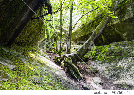 Ruins of building in the Wolf's Lair. Former war headquarters of Adolf Hitler in Poland Ruins of building in the Wolf's Lair. Former war headquarters of Adolf Hitler in Poland 90760572