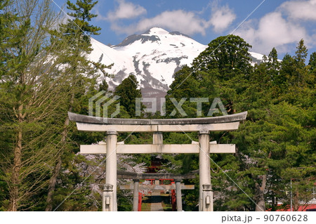 青森県弘前市百沢寺沢 北門鎮護岩木山神社正面から一之鳥居と参道と桜並木、奥に鎮座する岩木山 青森県弘前市百沢寺沢 北門鎮護岩木山神社正面から一之鳥居と参道と桜並木、奥に鎮座する岩木山 90760628