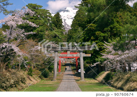 青森県弘前市百沢寺沢 北門鎮護岩木山神社二の鳥居と参道と桜並木、奥に鎮座する岩木山 青森県弘前市百沢寺沢 北門鎮護岩木山神社二の鳥居と参道と桜並木、奥に鎮座する岩木山 90760674