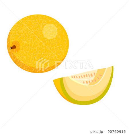 a melon, a whole round yellow melon, and half a melon. vector isolated on a white background. a melon, a whole round yellow melon, and half a melon. vector isolated on a white background. 90760916