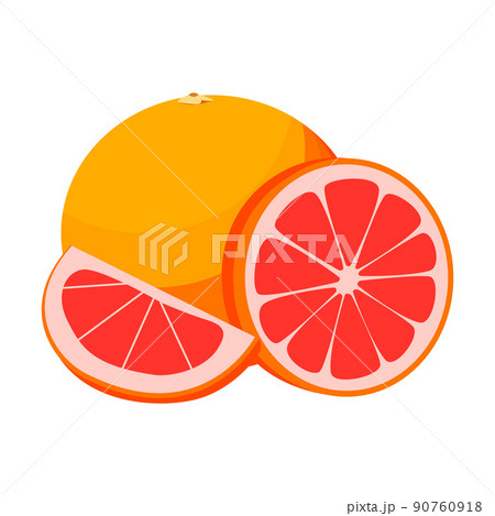 grapefruit, whole round and half grapefruit. vector isolated on a white background. grapefruit, whole round and half grapefruit. vector isolated on a white background. 90760918