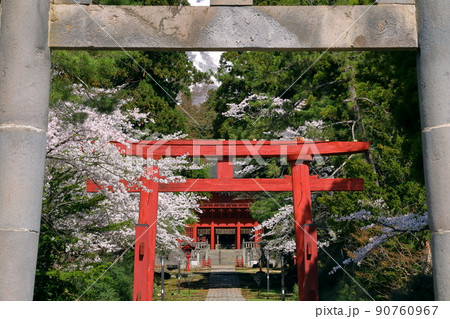 青森県弘前市百沢寺沢 北門鎮護岩木山神社三の鳥居と参道と桜並木、奥に見える楼門 青森県弘前市百沢寺沢 北門鎮護岩木山神社三の鳥居と参道と桜並木、奥に見える楼門 90760967