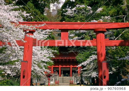 青森県弘前市百沢寺沢　北門鎮護岩木山神社三の鳥居と参道と桜並木、奥に見える楼門 90760968