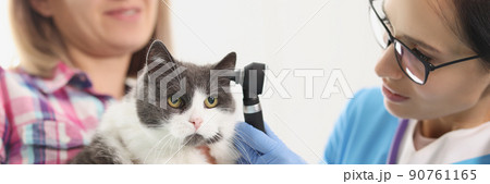 Owner woman holding her cat pet on hands and veterinarian check ear with special tool 90761165