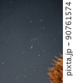 星 90761574