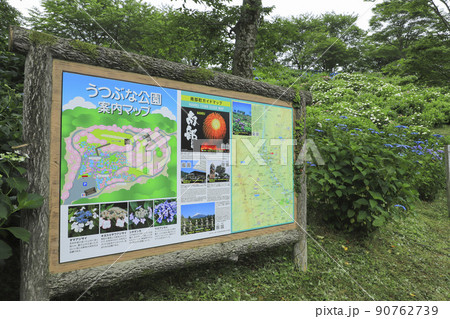 うつぶな公園のあじさい　山梨 90762739