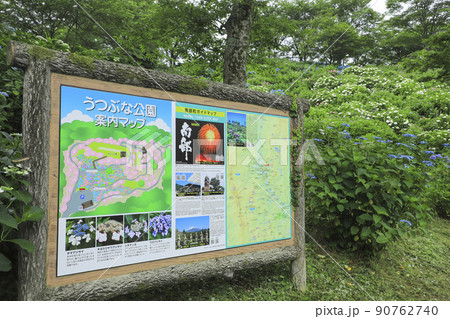 うつぶな公園のあじさい　山梨 90762740