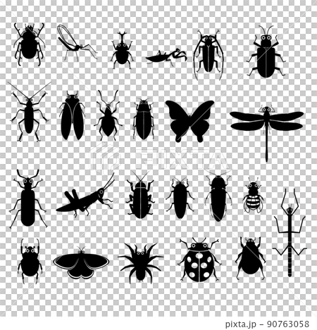 Insect silhouette 90763058
