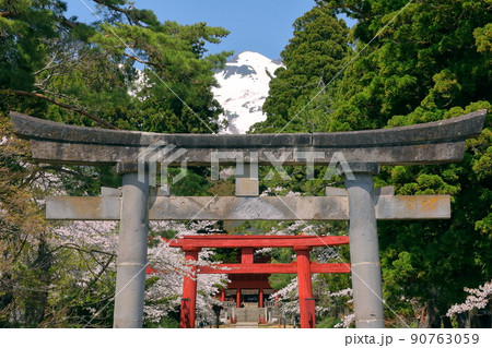 青森県弘前市百沢寺沢 北門鎮護岩木山神社二の鳥居と参道と桜並木、奥に鎮座する岩木山 青森県弘前市百沢寺沢 北門鎮護岩木山神社二の鳥居と参道と桜並木、奥に鎮座する岩木山 90763059