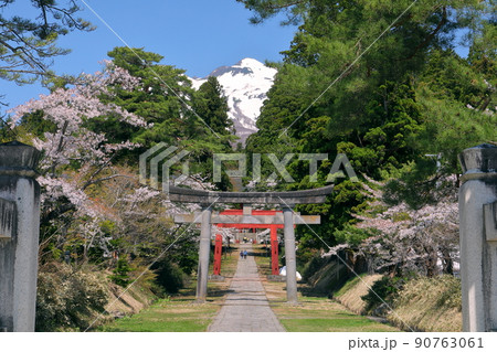 青森県弘前市百沢寺沢 北門鎮護岩木山神社二の鳥居と参道と桜並木、奥に鎮座する岩木山 青森県弘前市百沢寺沢 北門鎮護岩木山神社二の鳥居と参道と桜並木、奥に鎮座する岩木山 90763061