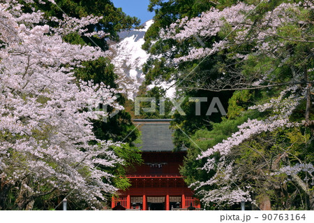 青森県弘前市百沢寺沢 北門鎮護岩木山神社の重要文化財の建造物楼門と奥の冠雪した岩木山 青森県弘前市百沢寺沢 北門鎮護岩木山神社の重要文化財の建造物楼門と奥の冠雪した岩木山 90763164