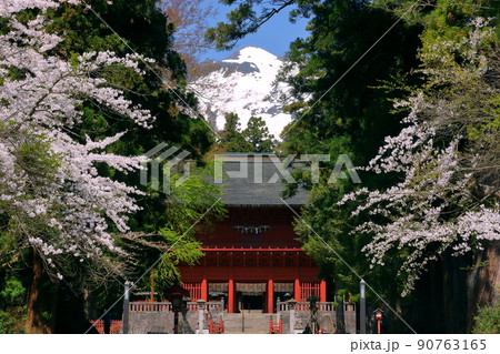 青森県弘前市百沢寺沢 北門鎮護岩木山神社の重要文化財の建造物楼門と奥の冠雪した岩木山 青森県弘前市百沢寺沢 北門鎮護岩木山神社の重要文化財の建造物楼門と奥の冠雪した岩木山 90763165