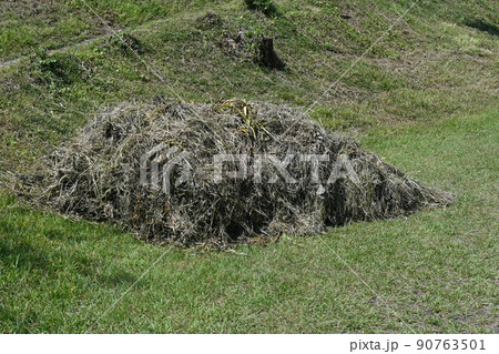 除草作業が終わった乾燥した草 90763501