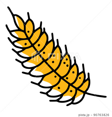 Ear of wheat with grains linear vector icon in doodle style 90763826