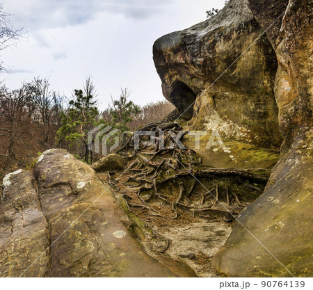 close-up of a stones of rocks of Dovbush in Ukrainian Carpathian 90764139