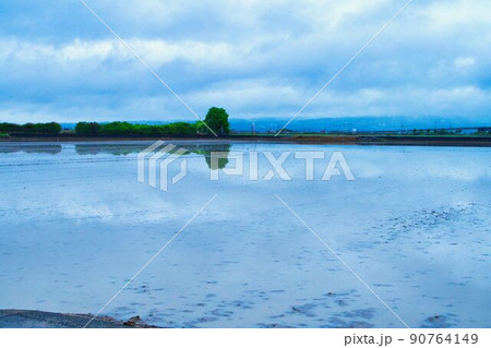 六月・日本の農業・田植え前(代掻き)後の水田 写真素材 六月・日本の農業・田植え前(代掻き)後の水田 写真素材 90764149