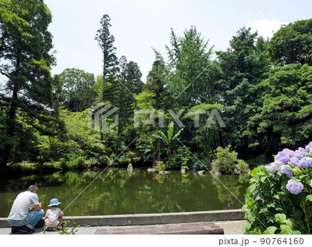 初夏の小野泉水公園を楽しむ祖父と孫 (熊本市植木町) 初夏の小野泉水公園を楽しむ祖父と孫 (熊本市植木町) 90764160