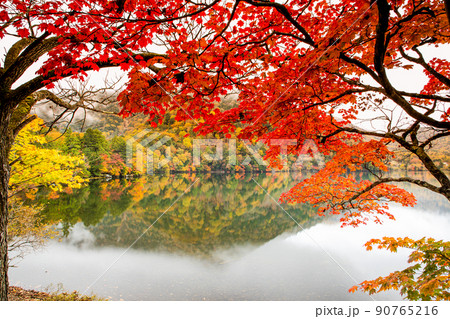 【栃木県・奥日光】湯の湖に映える紅葉の季節 10月 90765216
