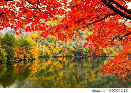 【栃木県・奥日光】湯の湖に映える紅葉の季節 10月 90765218
